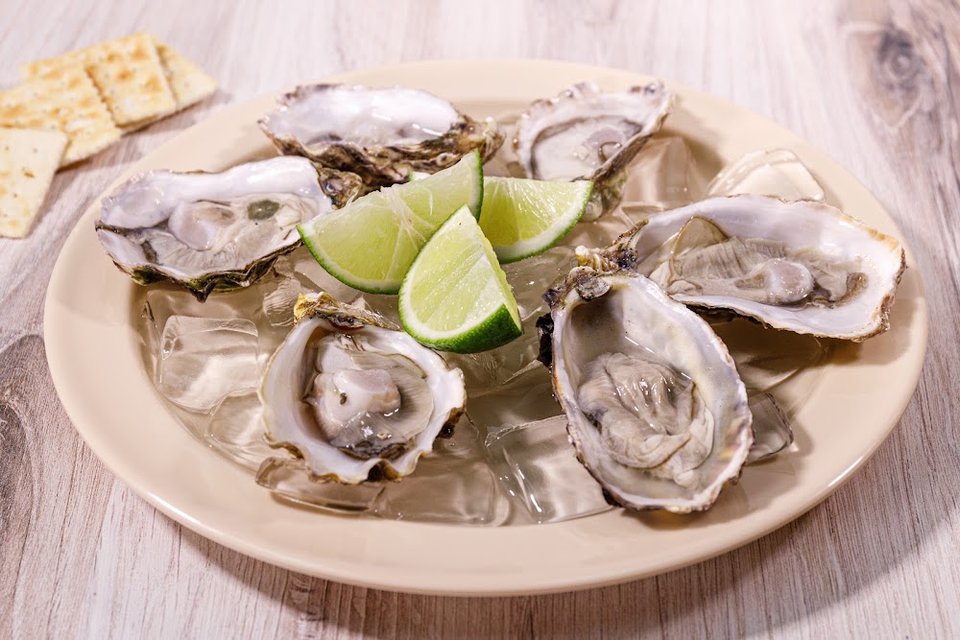 Oyster