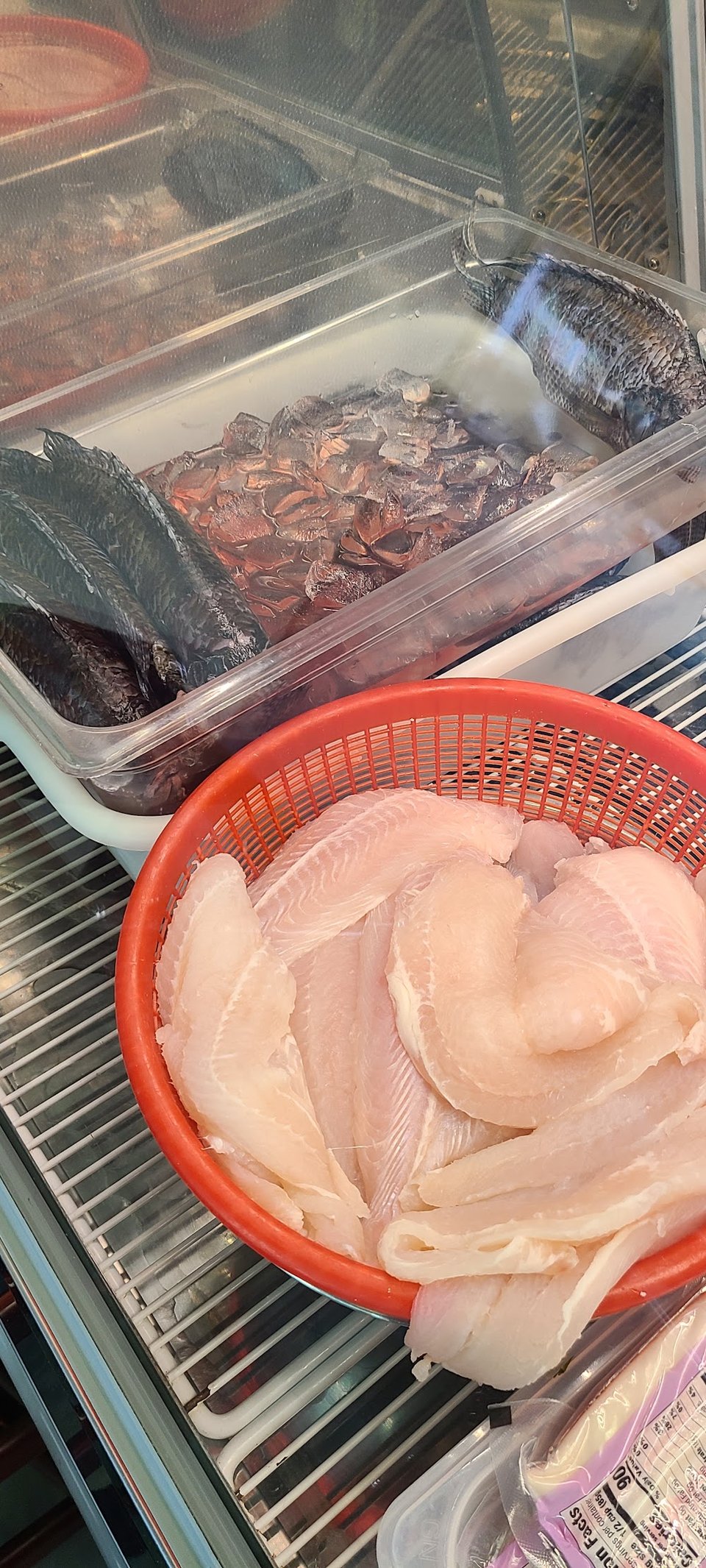 Telapia